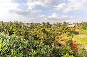 Redhill Cliff Complex