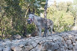Casa De Piedra in Campanet