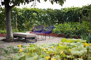 Luxury Langhe Pool Vigne Di Fagnano