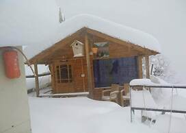 Bluepoppy Resort Auli