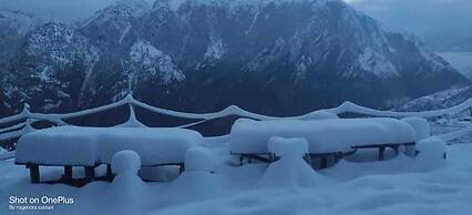 Bluepoppy Resort Auli