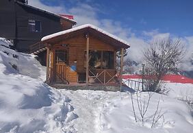 Bluepoppy Resort Auli