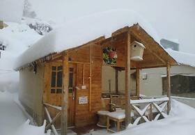 Bluepoppy Resort Auli