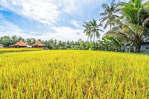 Rice Field Villa - 2 Bedroom