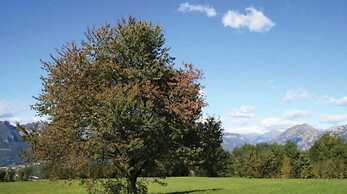 Agriturismo Prisma