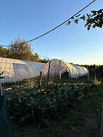 Agriturismo Prisma