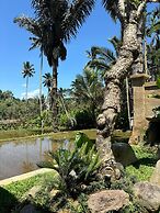 D'Pondok Sangaji Ricefield View by EPS