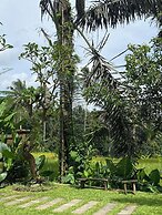 D'Pondok Sangaji Ricefield View by EPS
