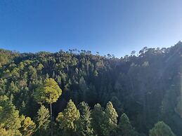 Goroomgo Stay Well Chamba