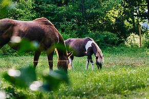 Whispering Birch Bed and Breakfast