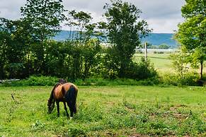 Whispering Birch Bed and Breakfast