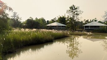 Tree of Life Ramvilas Bandhavgarh