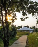 Tree of Life Ramvilas Bandhavgarh