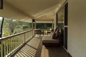 Tree of Life Ramvilas Bandhavgarh
