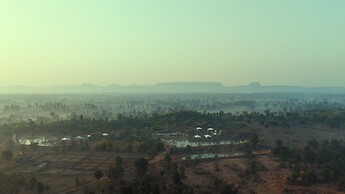 Tree of Life Ramvilas Bandhavgarh