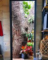 Quinta Pavo Real Complex by Acomodo