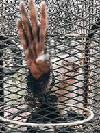 Quinta Pavo Real Complex by Acomodo