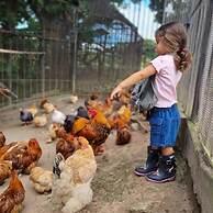 Quinta Pavo Real Complex by Acomodo