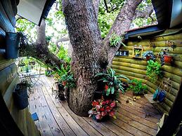 Quinta Pavo Real Complex by Acomodo