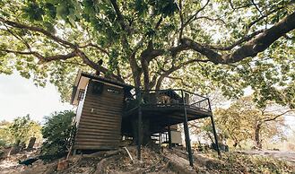 Quinta Pavo Real Complex by Acomodo