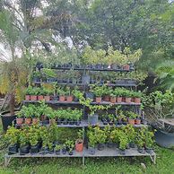 Quinta Pavo Real Complex by Acomodo