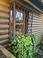 Quinta Pavo Real Complex by Acomodo