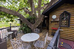 Quinta Pavo Real Complex by Acomodo