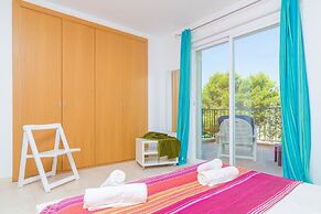 Bugambilia in Sa R Pita