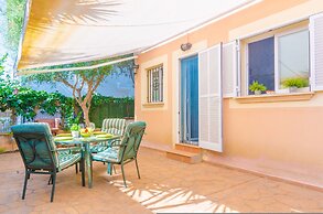 Bugambilia in Sa R Pita