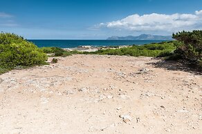 Boston in Can Picafort