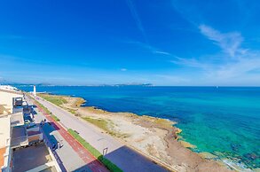 Boston in Can Picafort