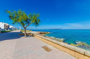 Boston in Can Picafort