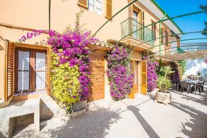 Can Rei Des Pla in G Nova