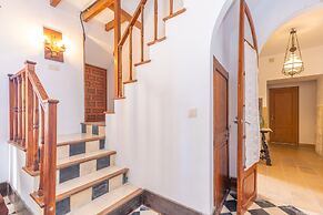 Can Rei Des Pla in G Nova