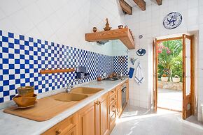 Can Rei Des Pla in G Nova