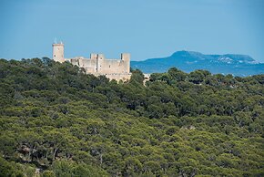 Can Rei Des Pla in G Nova