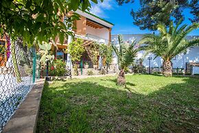 Can Rei Des Pla in G Nova