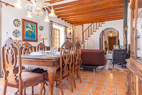 Can Rei Des Pla in G Nova