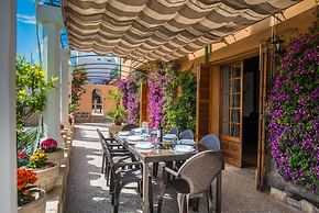 Can Rei Des Pla in G Nova