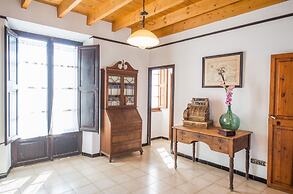 Can Rei Des Pla in G Nova