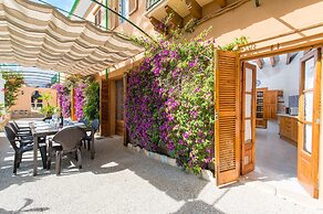 Can Rei Des Pla in G Nova