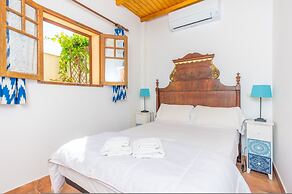 Can Rei Des Pla in G Nova