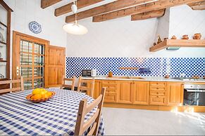 Can Rei Des Pla in G Nova