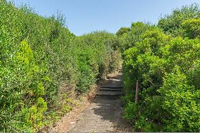 Biniforcat 11 in Los Delfines