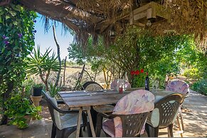 Lo Den Creus in Campos