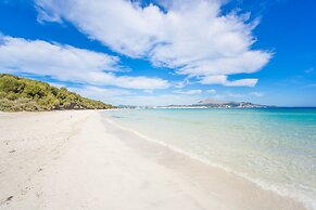 Sun Of The Bay Vidalba 1 B2 - A1