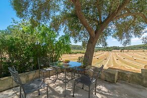 Ses Cases Velles De Son Bar