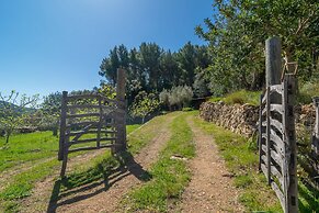 Can Pe es in Puerto de Andratx