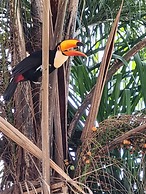 Casa dos Coqueiros - Cama & Café