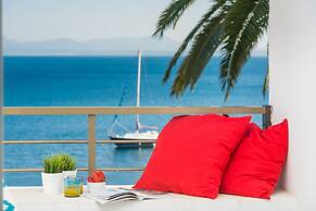 Sun Of Alcanada in Alc dia